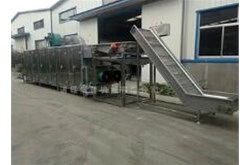果蔬清洗機(jī)可以清洗哪些果蔬？